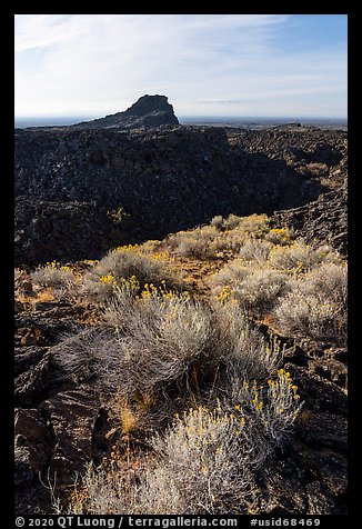 Rabbitbrush, crater, and plug, Pilar Butte. Craters of the Moon National Monument and Preserve, Idaho, USA