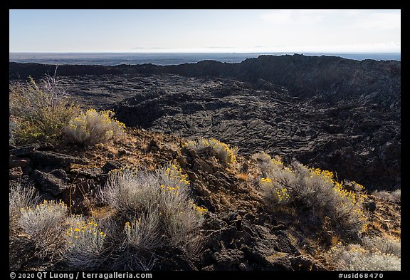 Rabbitbrush and former lava lake in crater, Pilar Butte. Craters of the Moon National Monument and Preserve, Idaho, USA (color)
