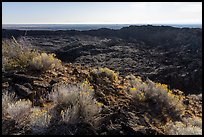 Rabbitbrush and former lava lake in crater, Pilar Butte. Craters of the Moon National Monument and Preserve, Idaho, USA ( color)