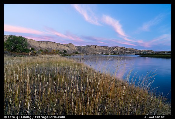 Grassy riverbank at dawn, Wood Bottom. Upper Missouri River Breaks National Monument, Montana, USA