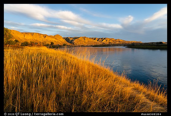 Tall grasses and cliffs at sunrise, Wood Bottom. Upper Missouri River Breaks National Monument, Montana, USA