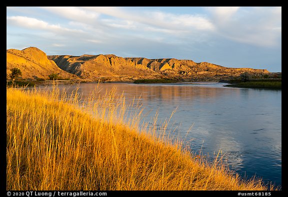 Grasses and bluffs at sunrise, Wood Bottom. Upper Missouri River Breaks National Monument, Montana, USA