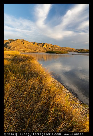Grassy river shore and bluffs near Wood Bottom. Upper Missouri River Breaks National Monument, Montana, USA