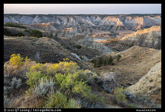 Shurbs and badlands. Upper Missouri River Breaks National Monument, Montana, USA (color)