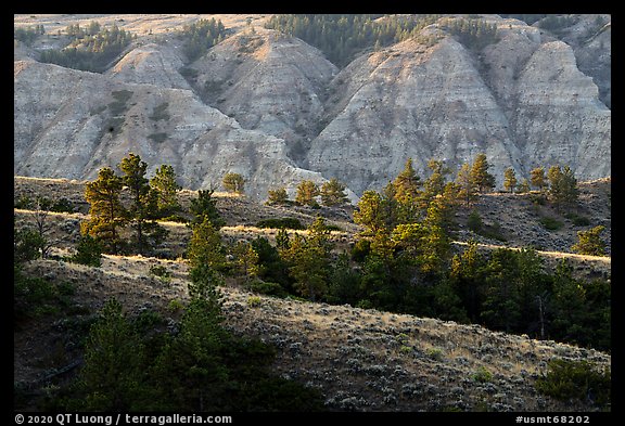 Ridges and badlands. Upper Missouri River Breaks National Monument, Montana, USA
