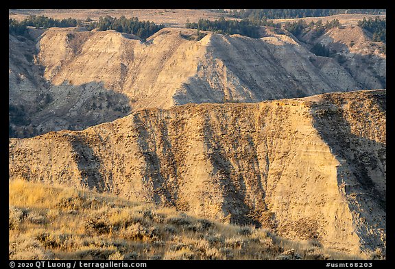 Badlands. Upper Missouri River Breaks National Monument, Montana, USA (color)