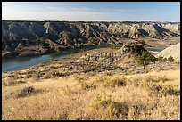 Grasses, badlands, and Missouri River. Upper Missouri River Breaks National Monument, Montana, USA ( color)