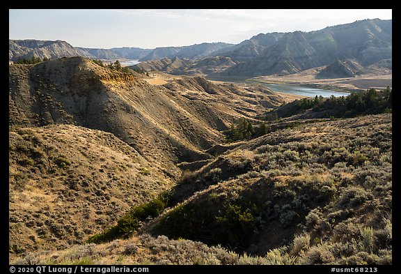 Sage-covered slopes. Upper Missouri River Breaks National Monument, Montana, USA