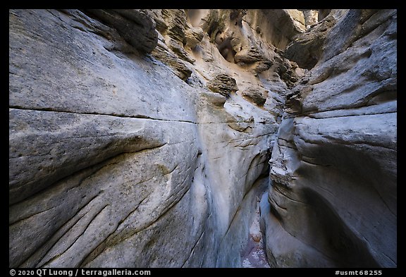 Slot canyon, Neat Coulee. Upper Missouri River Breaks National Monument, Montana, USA