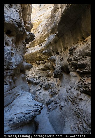 Twisted passages in Neat Coulee slot canyon. Upper Missouri River Breaks National Monument, Montana, USA