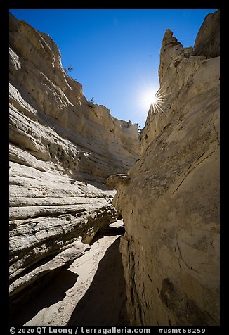 Neat Coulee slot canyon with sun star. Upper Missouri River Breaks National Monument, Montana, USA (color)