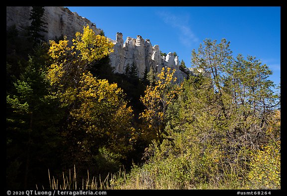 Trees in autumn foliage below sandstone pinnacles. Upper Missouri River Breaks National Monument, Montana, USA