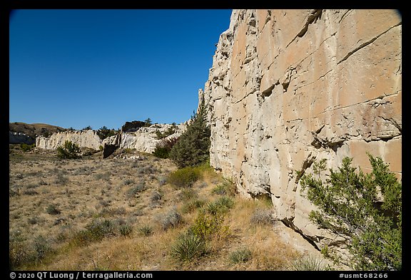 Cliffs with petroglyphs, Eagle Creek. Upper Missouri River Breaks National Monument, Montana, USA
