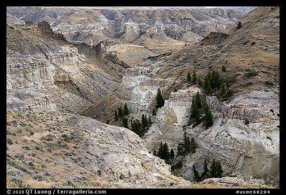 Canyon walls of Valley of the Walls. Upper Missouri River Breaks National Monument, Montana, USA (color)