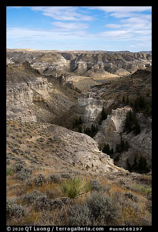 Valley of the Walls canyon. Upper Missouri River Breaks National Monument, Montana, USA (color)