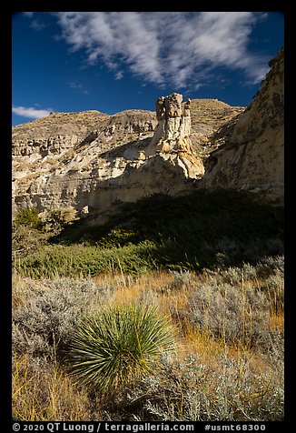 Sotol and sandstone pinnacle. Upper Missouri River Breaks National Monument, Montana, USA (color)