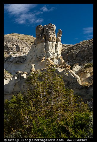 Tree and rock pinnacle. Upper Missouri River Breaks National Monument, Montana, USA