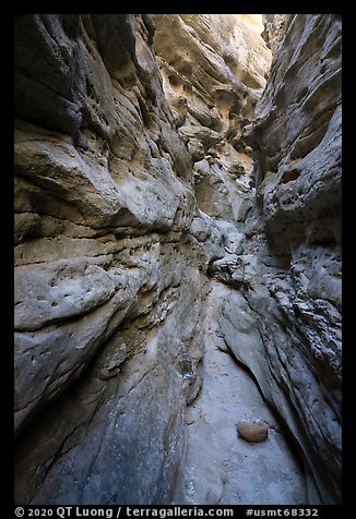 Narrow Neat Coulee slot canyon. Upper Missouri River Breaks National Monument, Montana, USA (color)