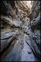 Narrow Neat Coulee slot canyon. Upper Missouri River Breaks National Monument, Montana, USA ( color)