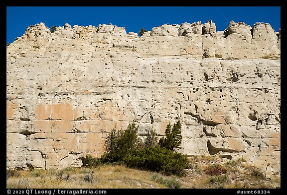 Sandstone wall. Upper Missouri River Breaks National Monument, Montana, USA (color)