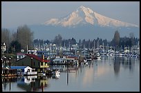 Houseboats on North Portland Harbor and snow-covered Mt Hood. Portland, Oregon, USA ( color)