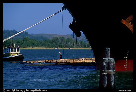 Timber, tugboat, and cargo boat bow. Oregon, USA (color)