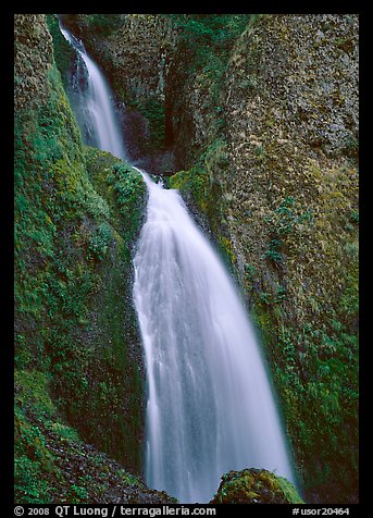 Waterfall, Columbia River Gorge. Columbia River Gorge, Oregon, USA (color)