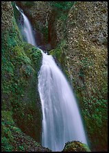 Waterfall, Columbia River Gorge. Columbia River Gorge, Oregon, USA ( color)