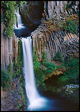Basalt columns and Toketee Falls. Oregon, USA