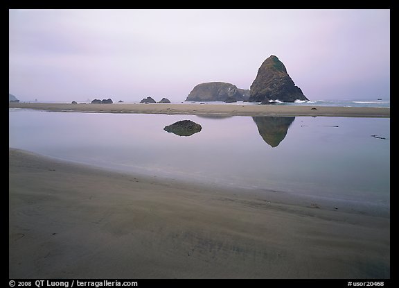 Triangular rock reflected in beach tidepool. Oregon, USA