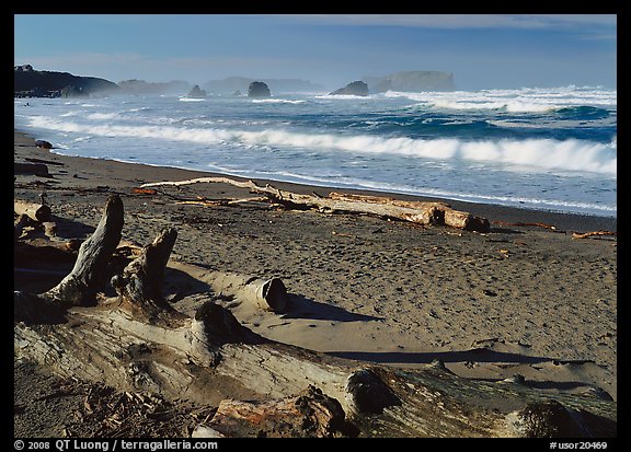Logs on beach and surf near Bandon. Bandon, Oregon, USA (color)