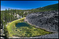 Pond at the edge of lava flow. Newberry Volcanic National Monument, Oregon, USA