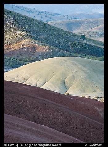 Weathered ash hummocks and sagebrush-covered slopes. John Day Fossils Bed National Monument, Oregon, USA (color)