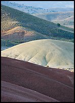 Weathered ash hummocks and sagebrush-covered slopes. John Day Fossils Bed National Monument, Oregon, USA