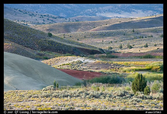 Sagebrush and ash hills. John Day Fossils Bed National Monument, Oregon, USA (color)