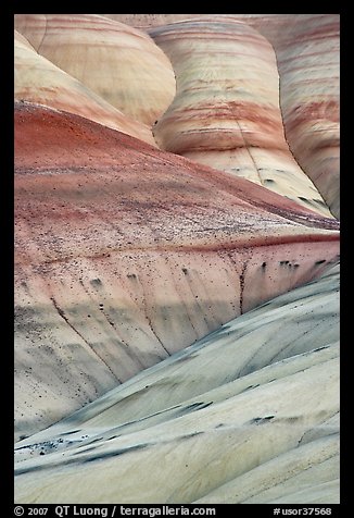 Eroded volcanic ash hummocks. John Day Fossils Bed National Monument, Oregon, USA (color)