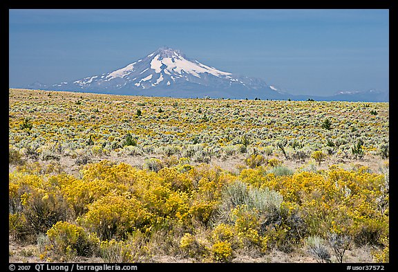 Sagebrush desert and Mt Hood. Oregon, USA