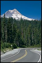 Road and Mt Hood. Oregon, USA (color)