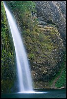 Horsetail Falls. Columbia River Gorge, Oregon, USA ( color)