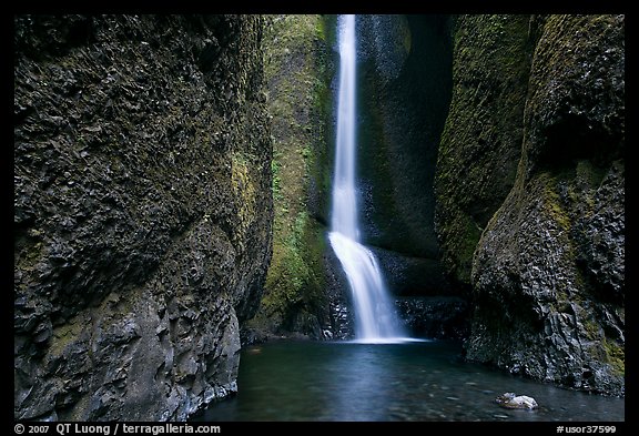 Oneonta Falls. Columbia River Gorge, Oregon, USA (color)