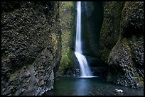 Oneonta Falls. Columbia River Gorge, Oregon, USA ( color)