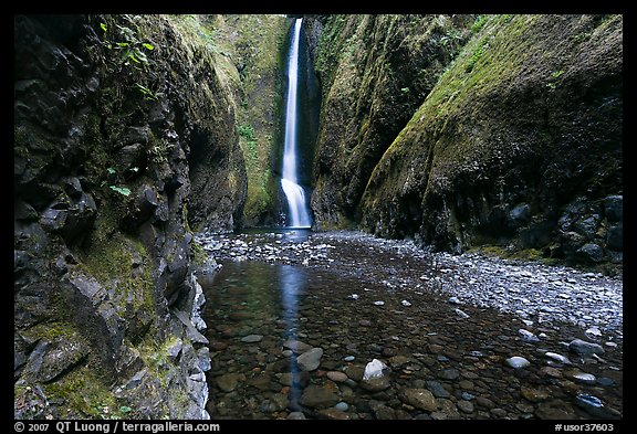 Oneonta Gorge and falls. Columbia River Gorge, Oregon, USA (color)