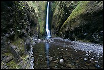Oneonta Gorge and falls. Columbia River Gorge, Oregon, USA ( color)