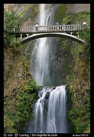 Benson Bridge and Multnomah Falls. Columbia River Gorge, Oregon, USA (color)