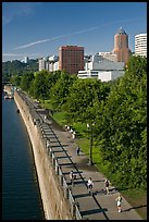People exercising at park on Williamette River waterfront, skyline. Portland, Oregon, USA (color)
