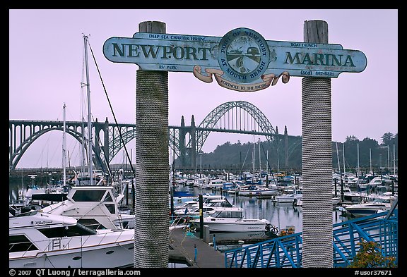 Newport marina and sign, foggy sunrise. Newport, Oregon, USA