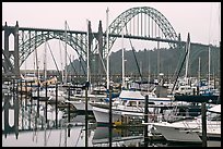 Marina and Yaquina Bay Bridge. Newport, Oregon, USA ( color)