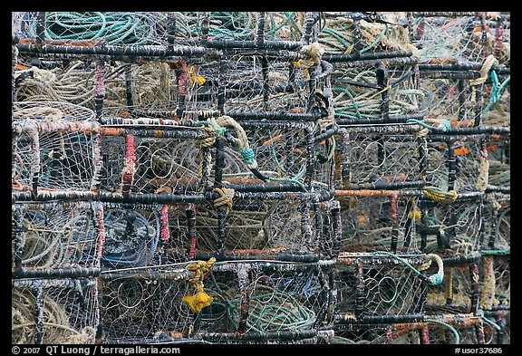 Close-up of crab traps. Newport, Oregon, USA