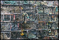 Pictures of Crab Traps