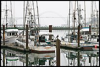 Commercial fishing boats and Yaquina Bay in fog. Newport, Oregon, USA
